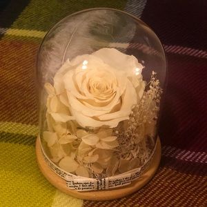 Flowers White Forever Rose gift in glass dome